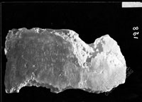 Обломок оштукатуренного камня с надписью 