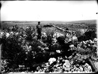 Excavations in the Gerakleyskiy Peninsula (continuation of 1928 excavations)