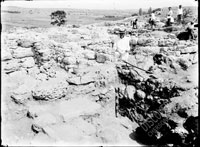 Раскопки на Гераклее