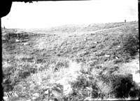 Общий вид раскопа 1931 г