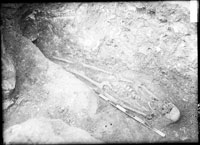 Burials in dromos after cleaning